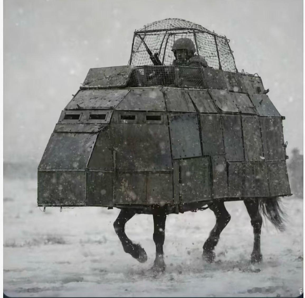 2025年最佳图片奖出炉了：俄罗斯武装骑兵向波克罗夫斯克挺进……