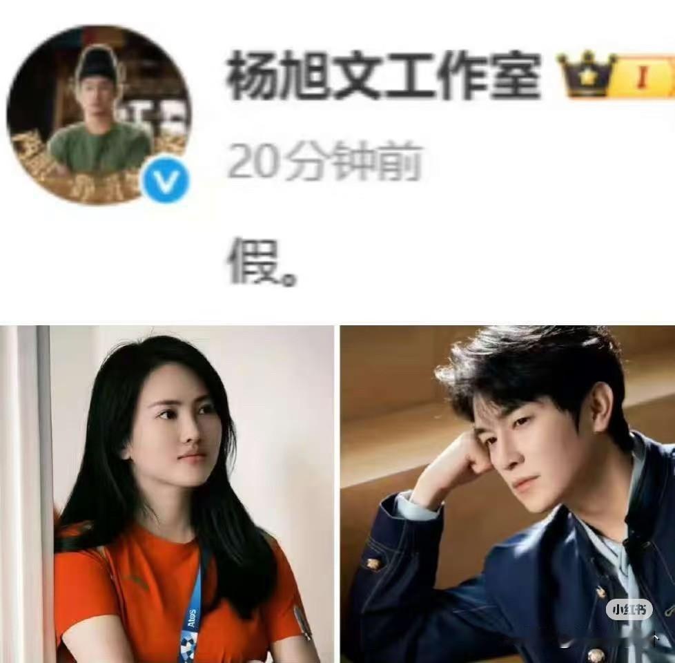 全红婵今晚怕是要睡不着了不是因为对滑雪念念不忘而是因为她的师傅陈若琳传出绯闻