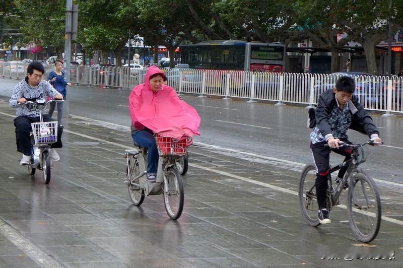 这淅淅沥沥的雨下了一个月,真应了“一场秋雨一场寒”。瞧着窗外,枯枝败叶落满街,