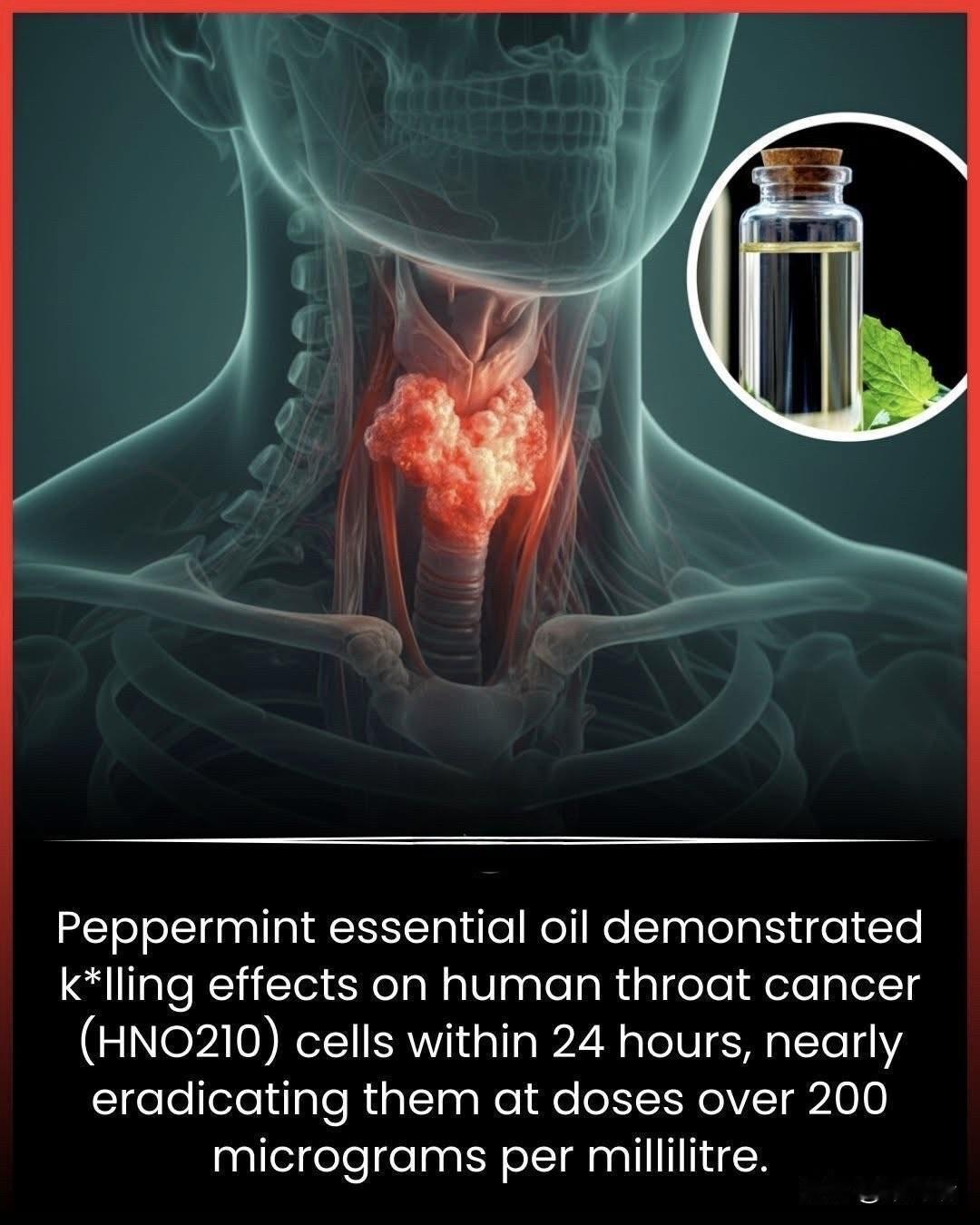 2025年发表在《颅颌面外科杂志》（JournalofCraniofacia