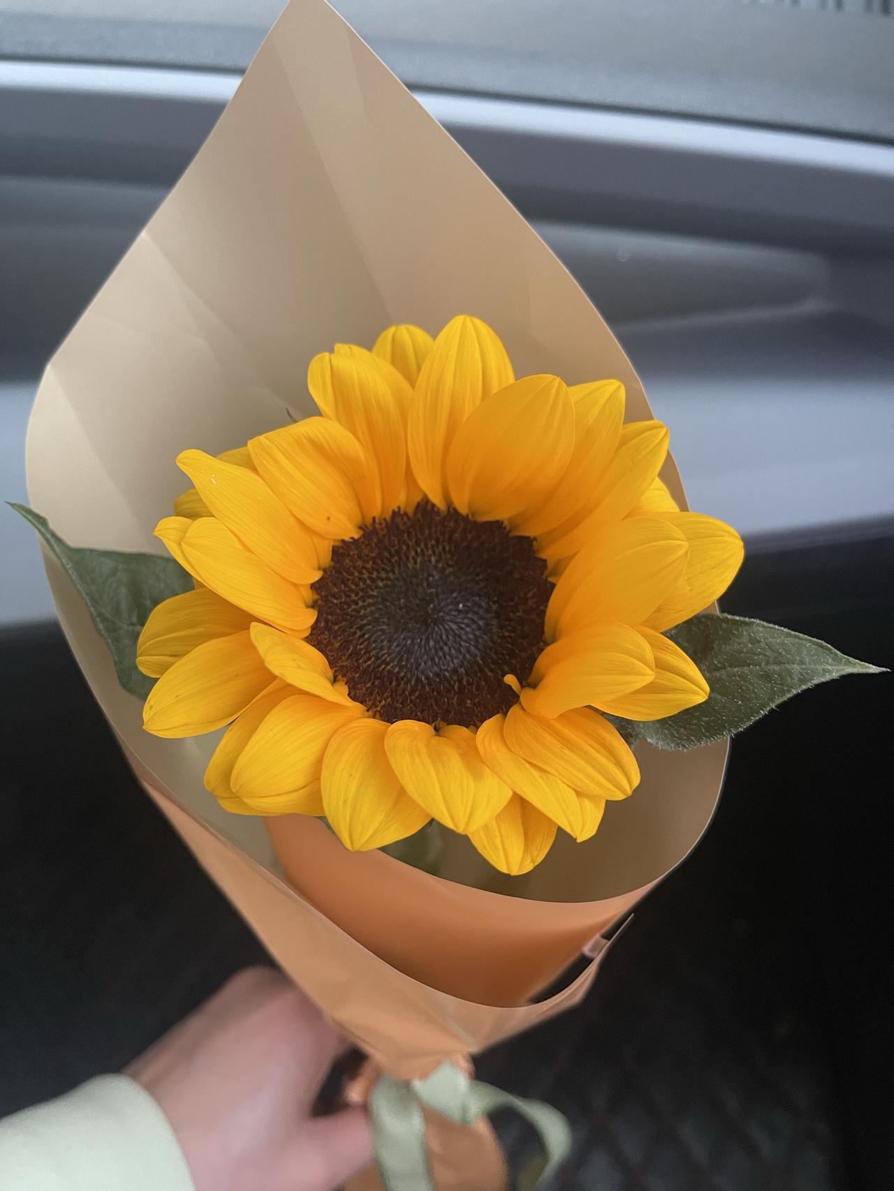 最近有个退休的阿姨火了，就因为她一句话：“退休后，我不会去老年大学。”为什么