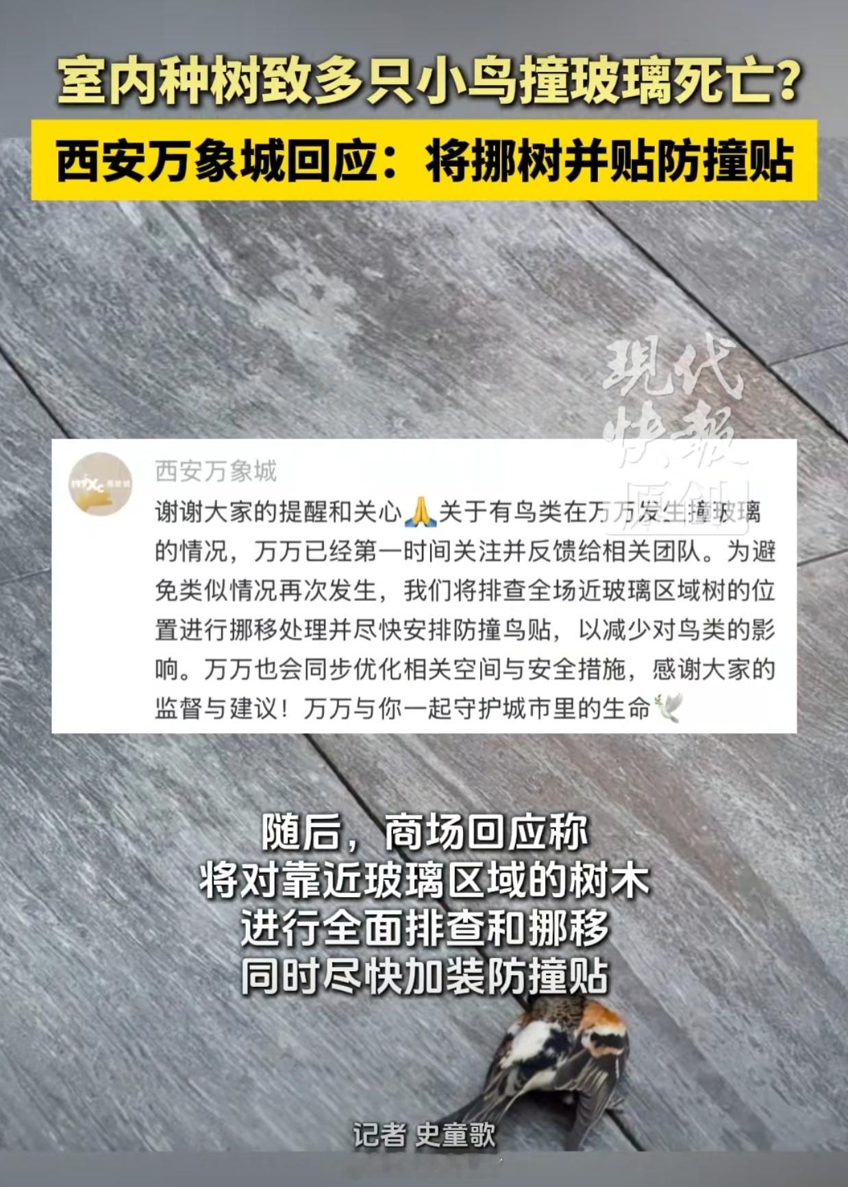 多只小鸟撞西安万象城玻璃墙死亡查了一下西安万象汇，整体建筑是下面图一至图五这样。