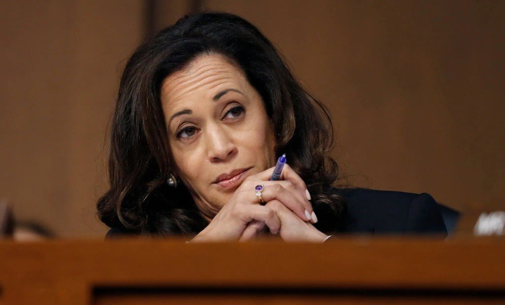 美国前副总统哈里斯谈到自己为什么要支持美国大麻合法化，脑回路神奇美国出现大麻抢购