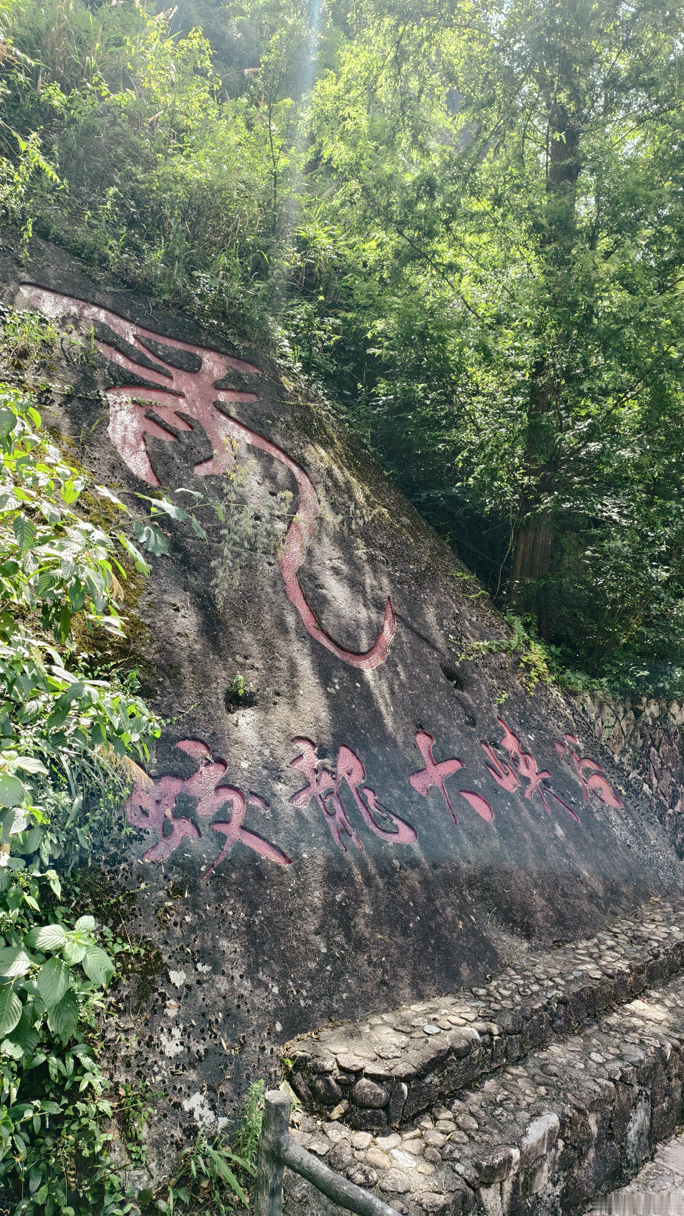 丽水缙云蛟龙大峡谷，陡峭花岗岩奇峰林立，栈道依山而建，玻璃桥横亘在两山之间峡谷内