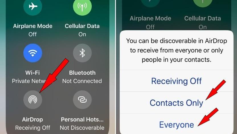 17730585130917975857.jpg?id=0