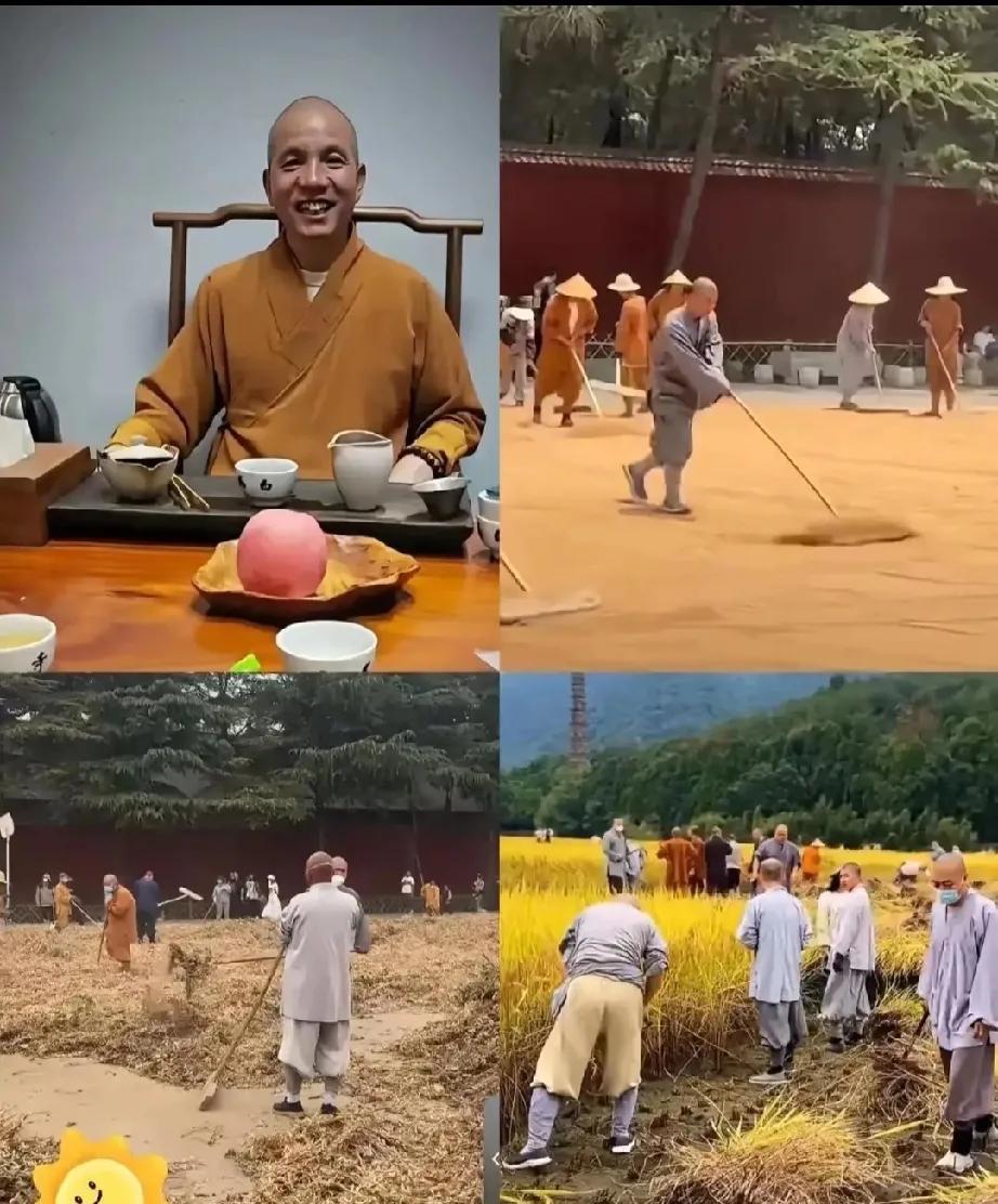 少林寺新规，和尚纷纷辞职