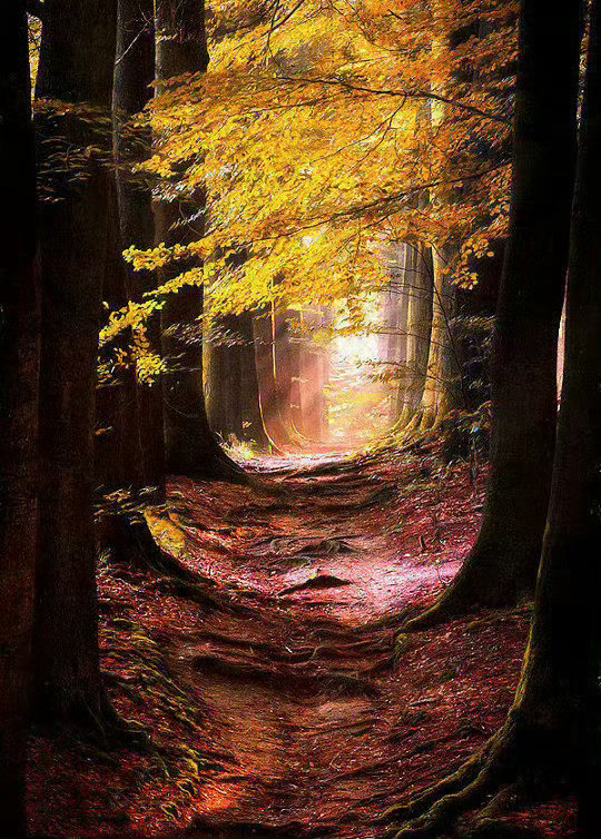 若你想去路途遥远的地方，努力、坚持、毅力、忍耐……这些都无法帮你抵达，但是习惯可