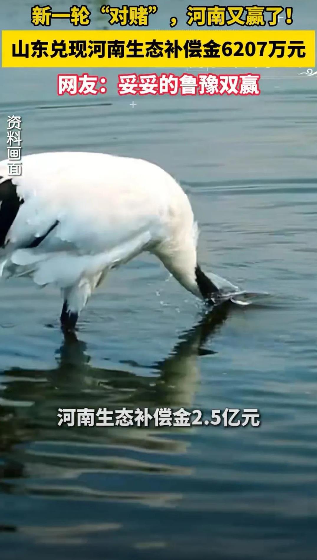 河南又赢了！这次是和山东的“生态对赌”家人们！河南又赢麻啦！这次是和山东玩“生