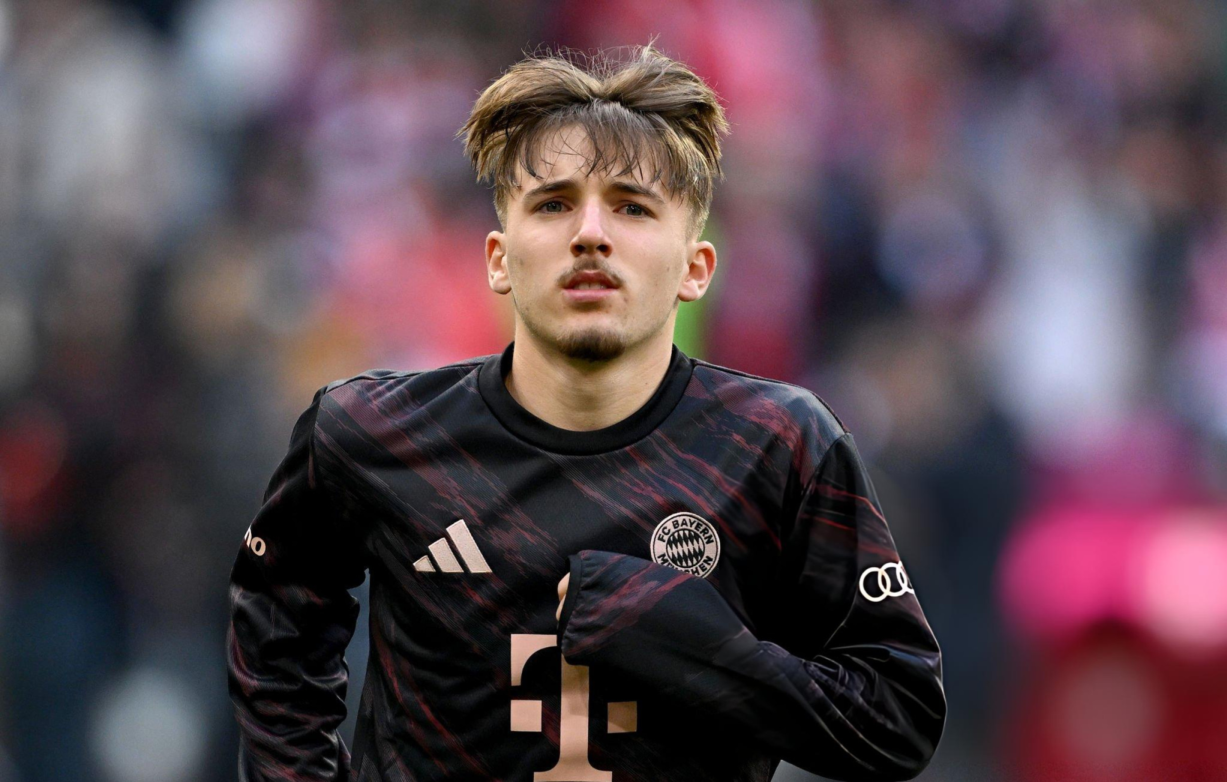 此处艾特一下卡尔我烙饼又想啃小了