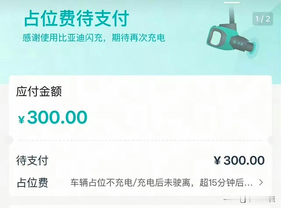 我就知道这些人会跑出来“骂街”的！关于比亚迪整治车辆乱占用闪充位，采用收费模式