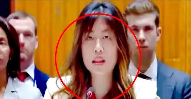 中美联合国对呛有个华裔女副参赞哎呀妈呀，联合国那场中美对