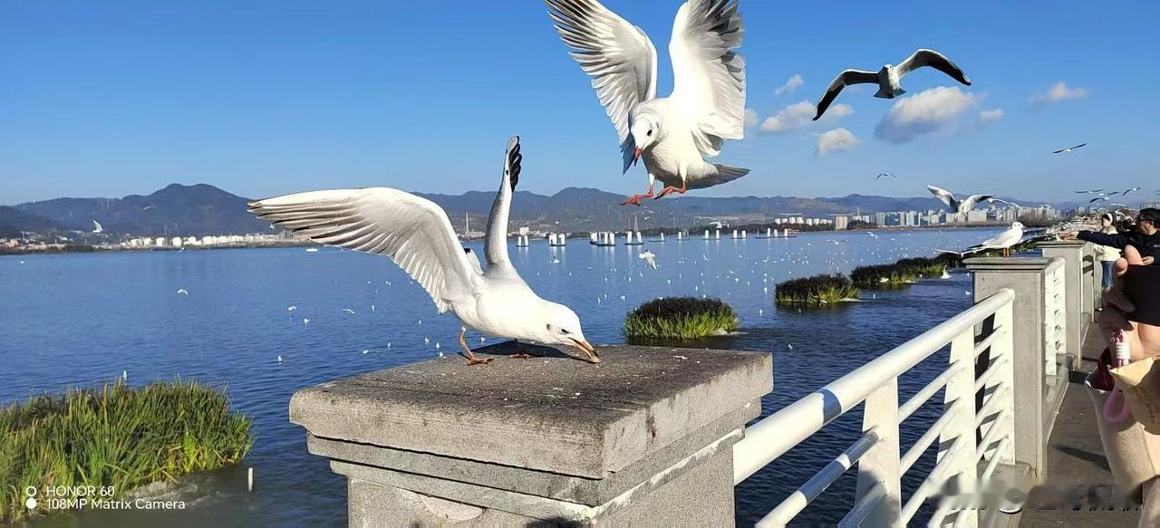 航天一院（运载火箭技术研究院）倾向于招聘航空航天领域专业实力强、学科特色鲜明院校