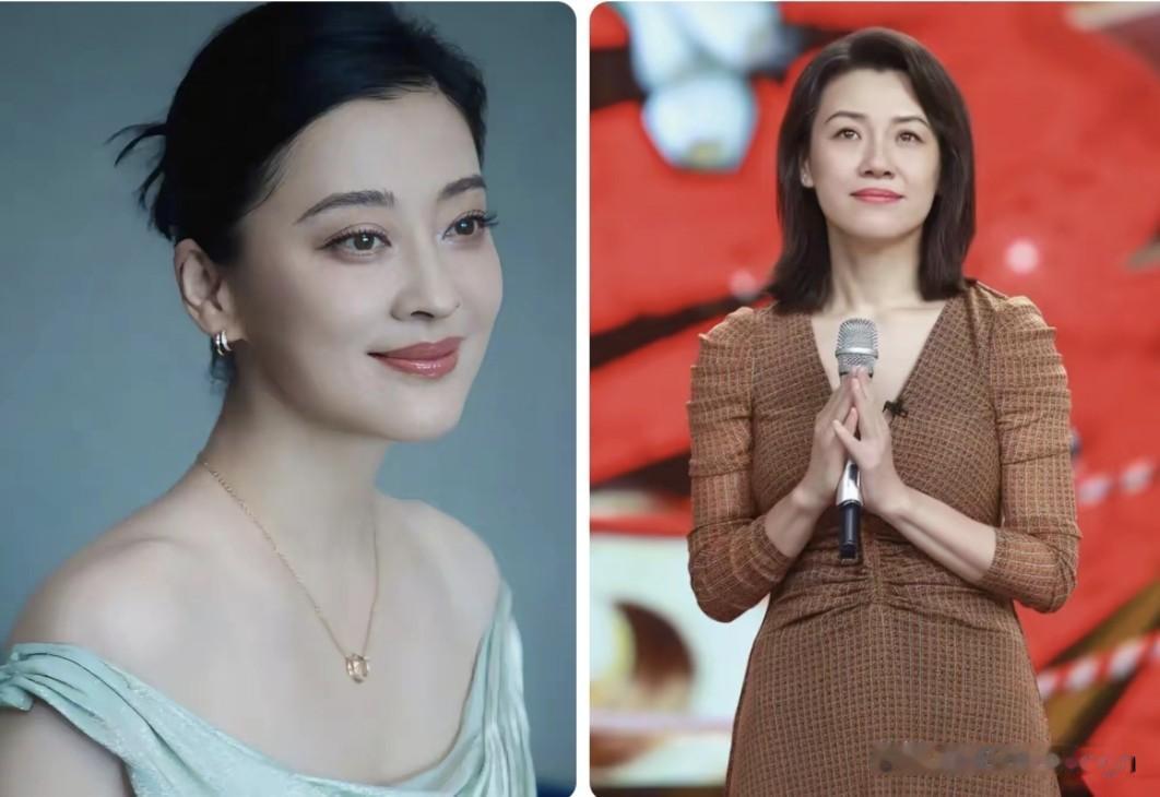 梅婷和刘琳演技互相托举，成就了电视剧《父母爱情》这部经典好剧。梅婷把安杰演的