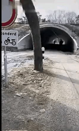 这是放了个啥这么大威力显然是超乎他们几个人预料的