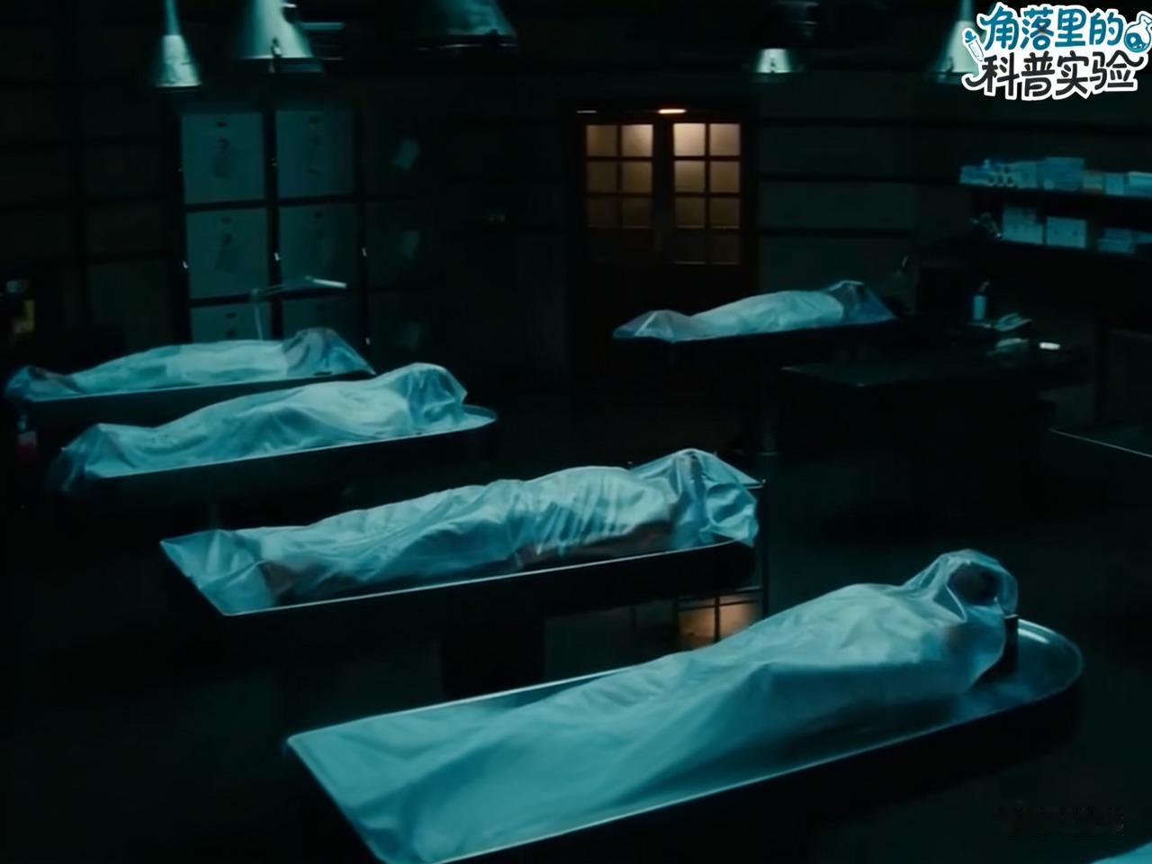 为什么人类对同类尸体害怕你有没有想过，人见到同类的遗体会害怕发抖，动物却可能