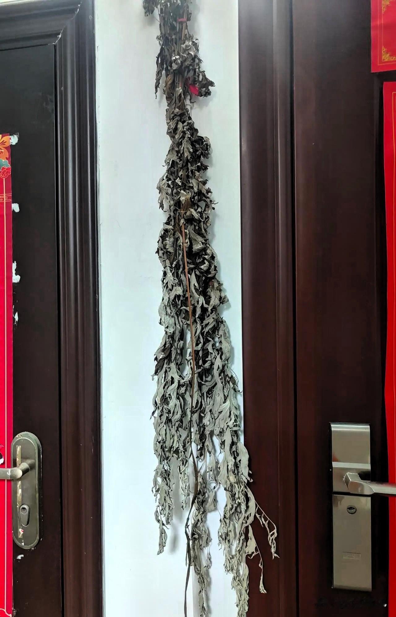 今天我把门口挂了快一个月的艾草取下来了。其实我早就想扔掉了，邻居老奶奶说有讲