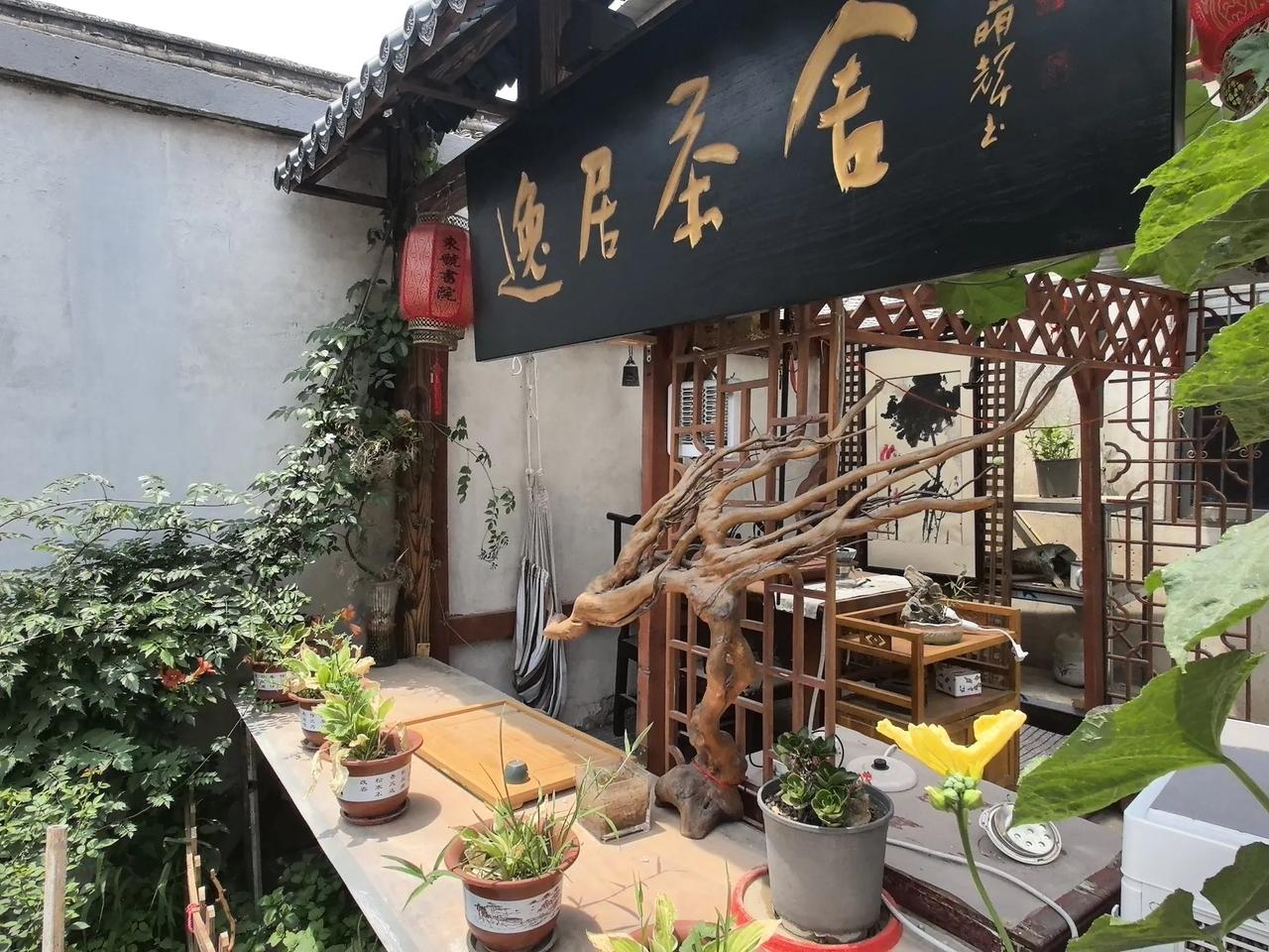 这个小院怎么样？第一有讲不完的故事，怎么去创意设计呀，怎么细节处理呀，怎么变动呀