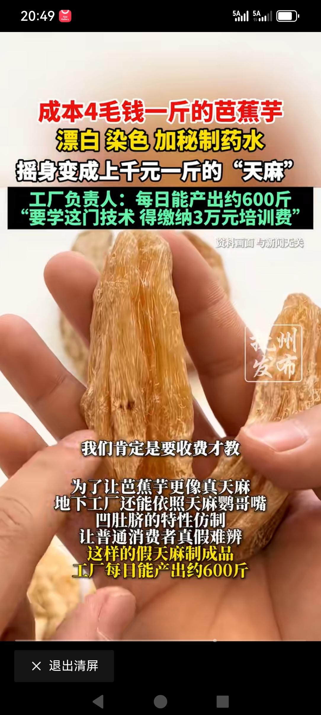 原来大家买的“天麻”，好多都是这么来的，还是自己种植的好，山上挖野生的很少很少了