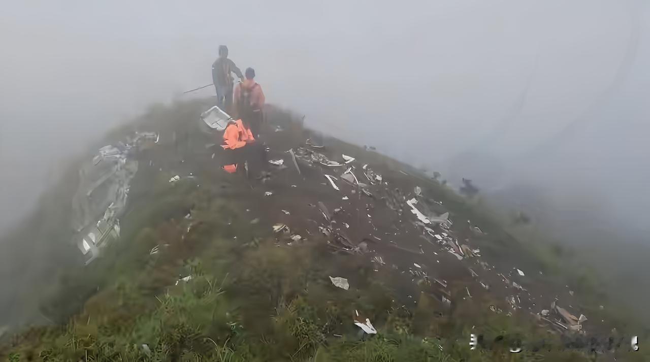 揪心！印尼失联飞机确认坠毁千人深山搜救盼奇迹等来的竟是最坏消息！印尼