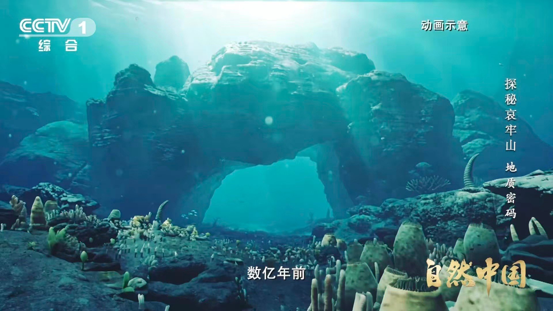 哀牢山顶惊现海底世界哀牢山顶竟藏3.75亿年前珊瑚化石谁能想到？海拔2000米