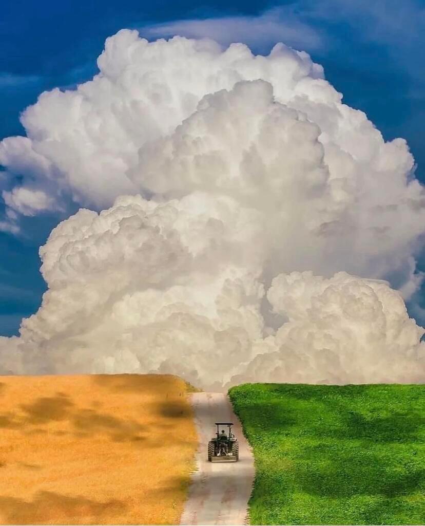 今日小满，又是521，挺神奇的，彷佛是命运在教我们：不管是爱自己还是爱别人，懂得