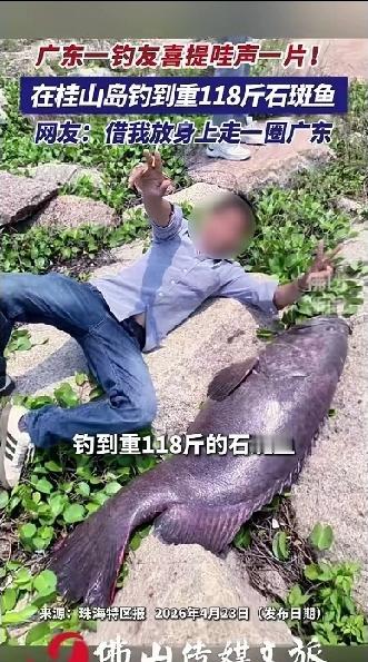 118斤的石斑鱼值多少钱？麻烦广东的网友给科普一下，广东珠海一位钓鱼佬在珠海桂山