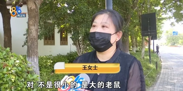 浙江萧山，女子请客吃饭，中途出去时，发现外面餐桌上有一只老鼠，吓了一跳，拍了照片