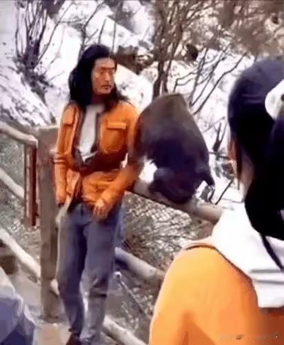 那只长期霸占石阶、专盯落单游客下手的黄毛猕猴，今天终于踢到了钢板。一声沉闷的闷响