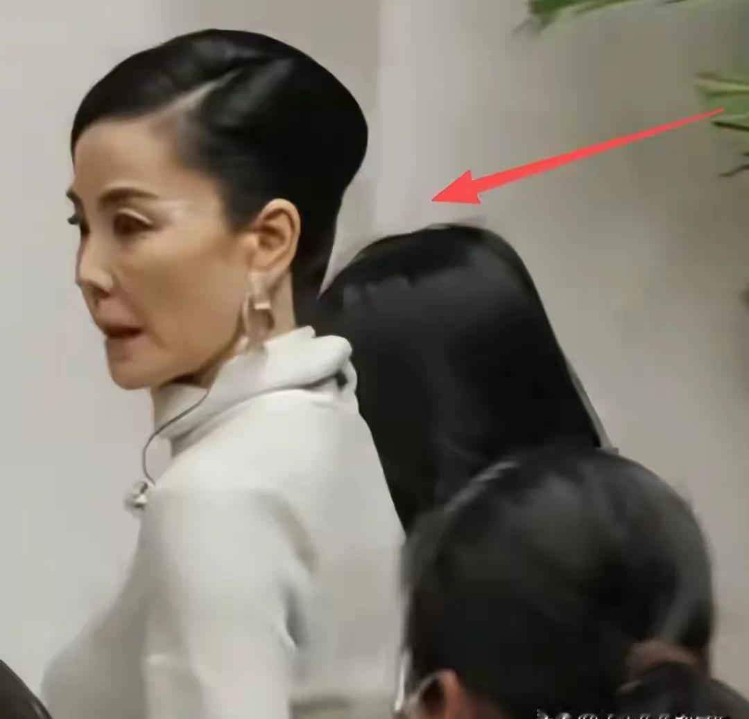 54岁王菲素颜照曝光！不是57，可那张脸，真像被吸干的纸片人，吓得我心头一紧。