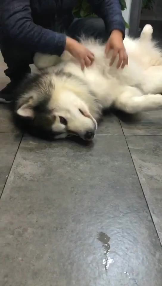 南京火车站近15万张网购票无人取:车站呼请订