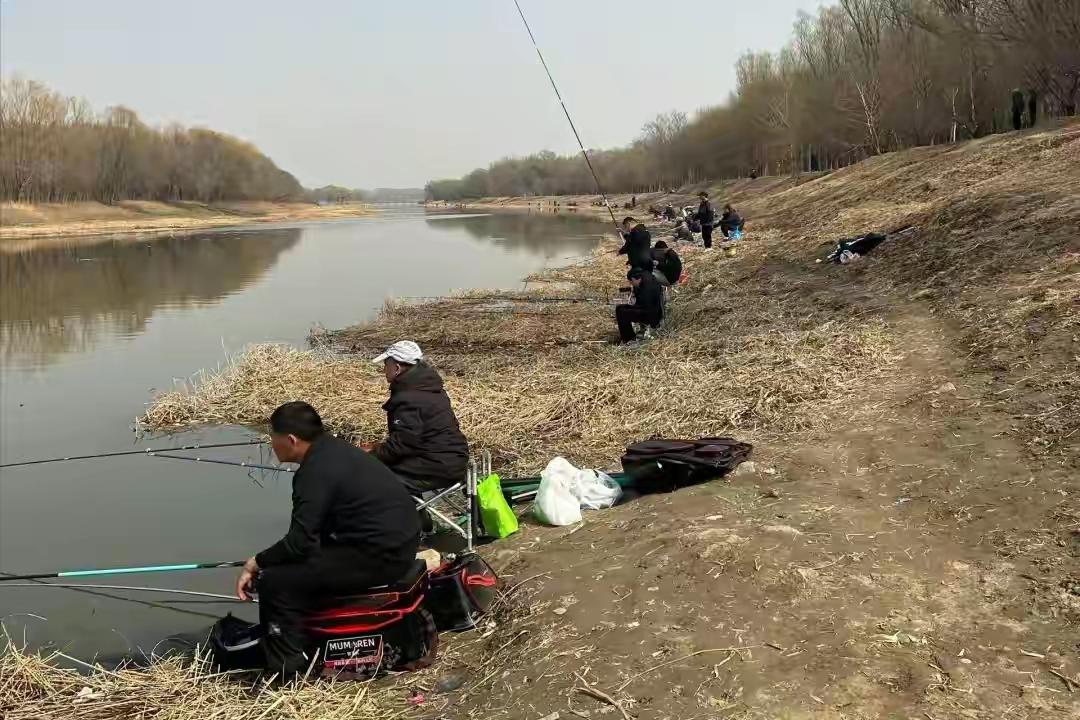 春天中午没口别急着收竿，这招我试了三年，回回管用！中午钓不到鱼，不是鱼不咬钩，是