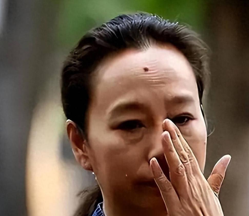 周野芒去美国进修，整整两年没见老婆奚美娟。等他回国，看到老婆奚美娟正在坐月子，他