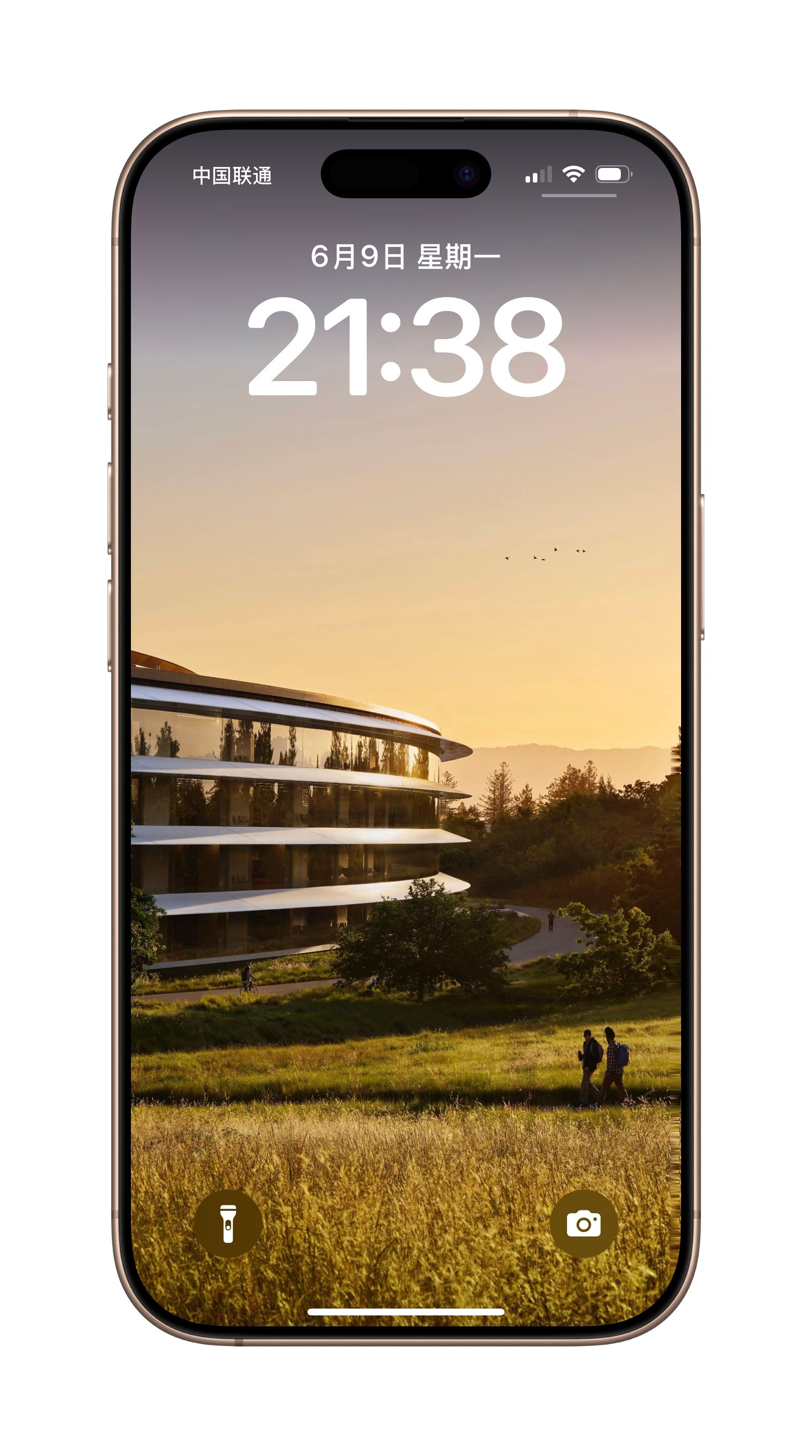 莱分享一年一度的ApplePark壁纸by​​​