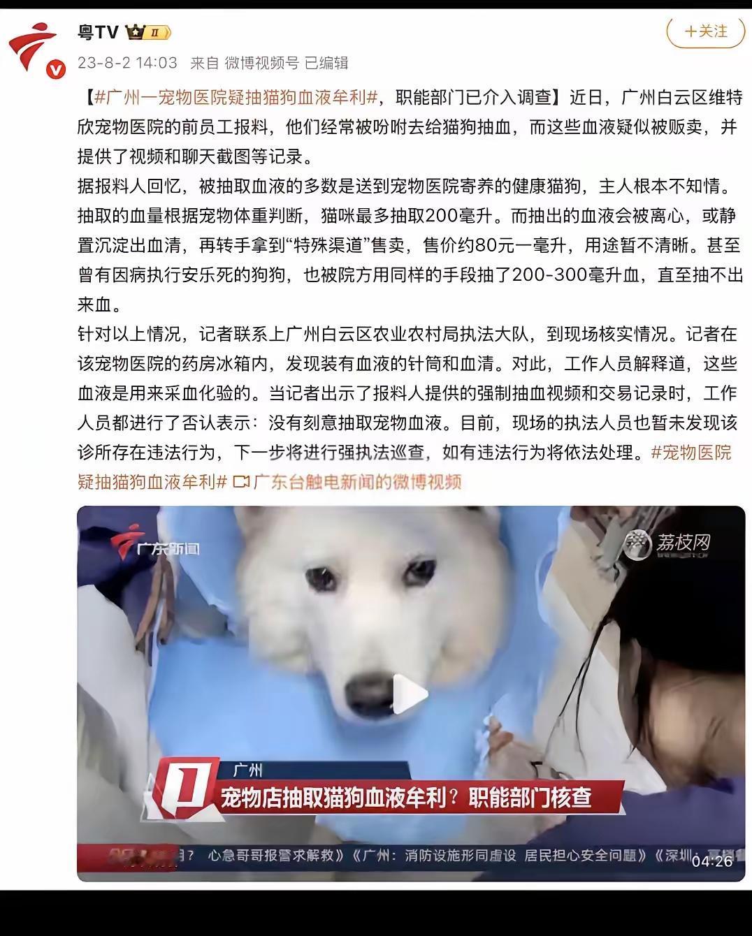 广东血猫事件仅仅是冰山一角,还有更深的黑色产业链!两年前就有人爆料,可惜不了了之