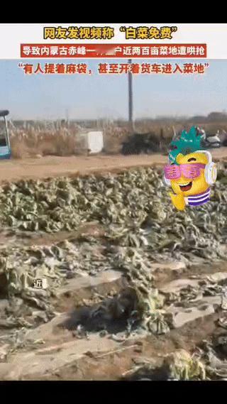 这个责任该谁来承担？🤬25年11月4号，有网友在未核实的情况下发布了白菜免费