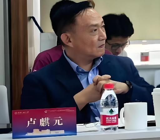 “家产全往海外挪的人，凭什么给国内定规矩？”卢麒元这句质问，简直戳中了无数人的心