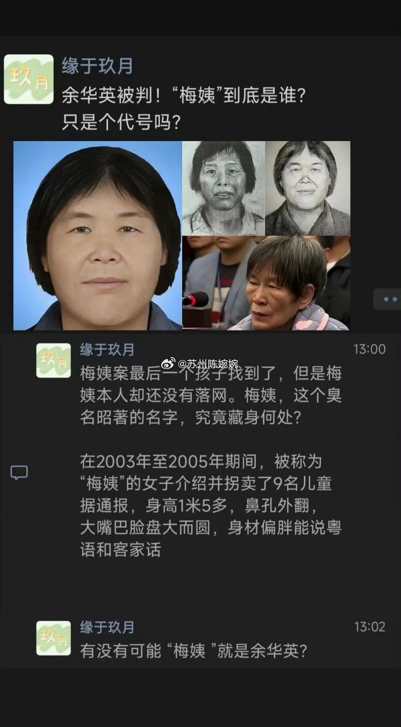 梅姨被逮捕妈呀依稀记得梅姨是我的童年阴影…之前还传说根本没有这个人或者其实是个男