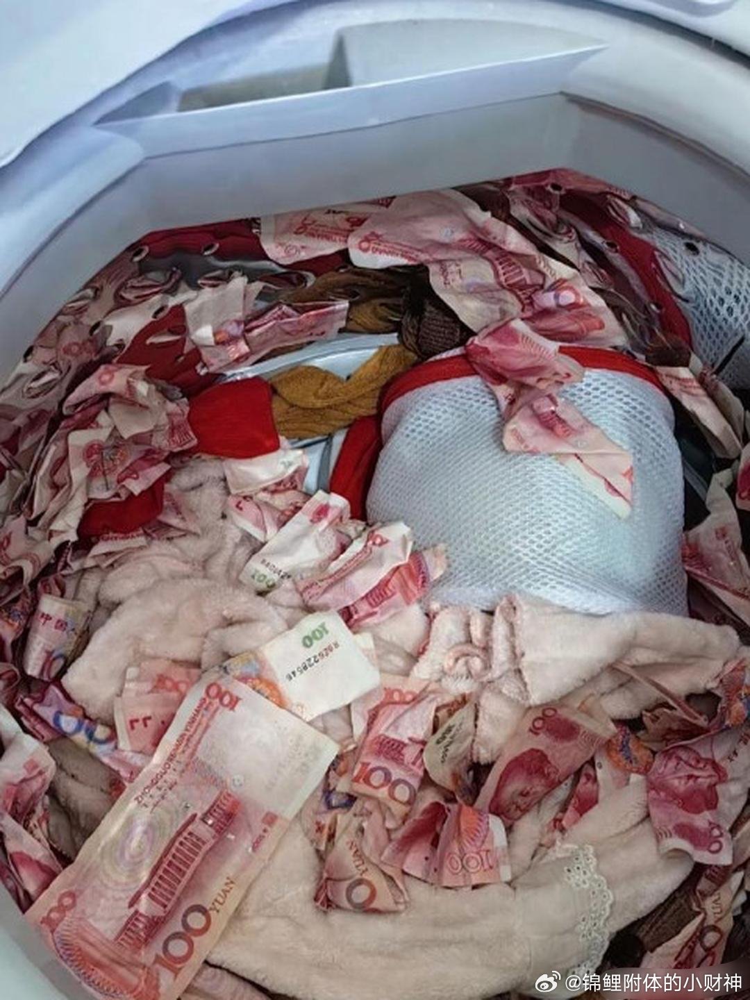 心血来潮洗了个衣服，然后就……