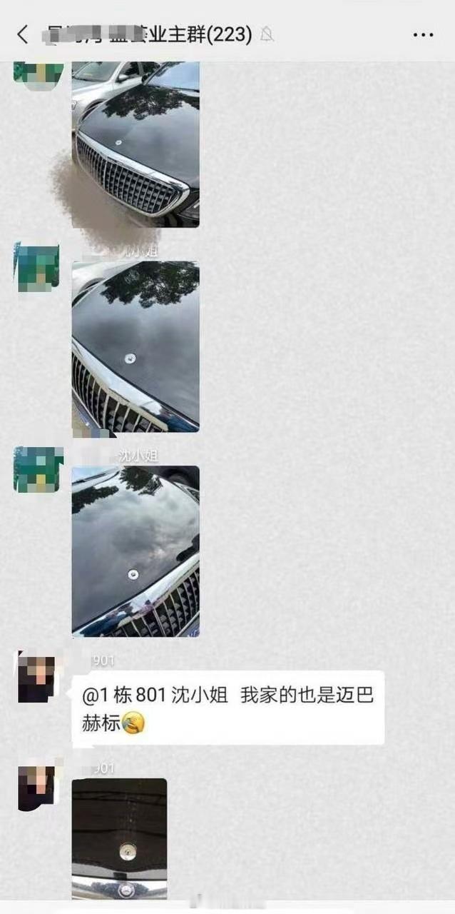 俩熊孩子给14台奔驰标拔了.....里面还掺了两个迈巴赫孩子以后肯定是个实干