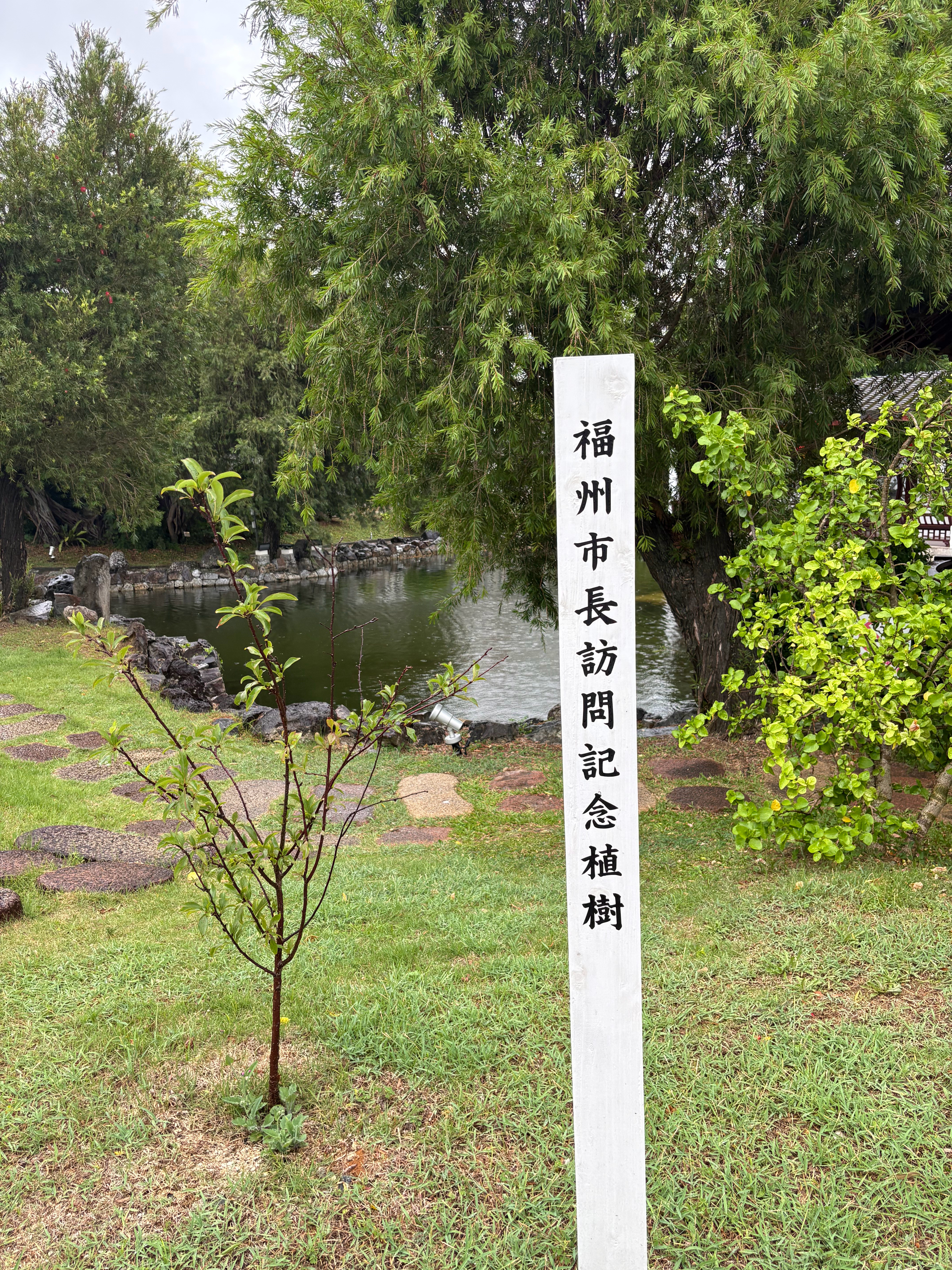 台风天也是在日本逛上福州公园了…看这白塔乌塔榕树左海…很想回家了冲绳真是福建友