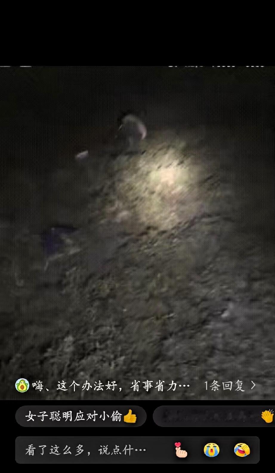 安徽一位大姐处理偷花生小偷的方式，被网友称赞“聪明又稳妥”，没有激烈冲突，却把事