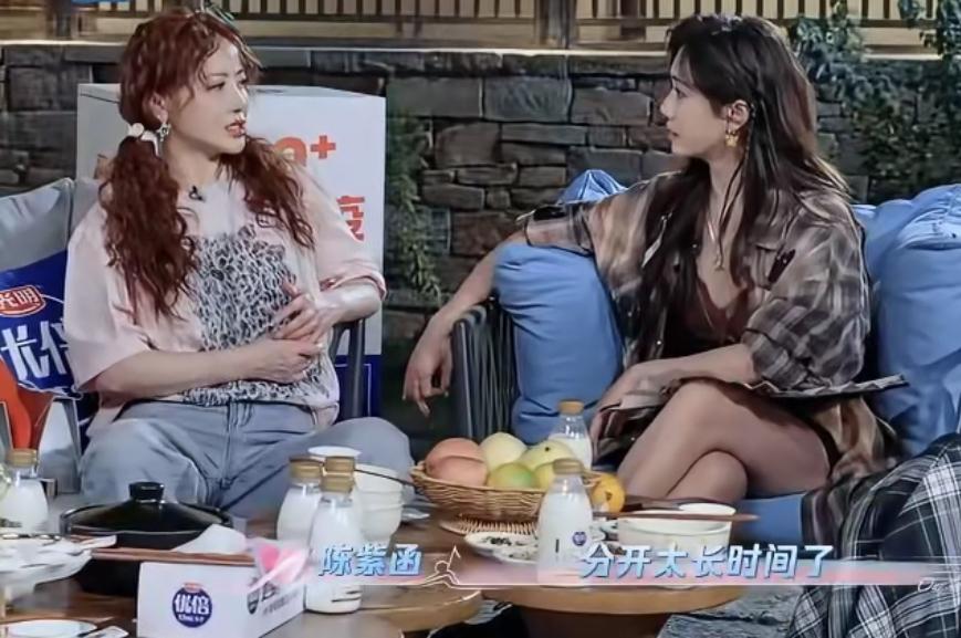 陈紫函和戴向宇曾经有过婚姻危机。导致问题的原因非常现实：长期异地分居以及缺乏沟通