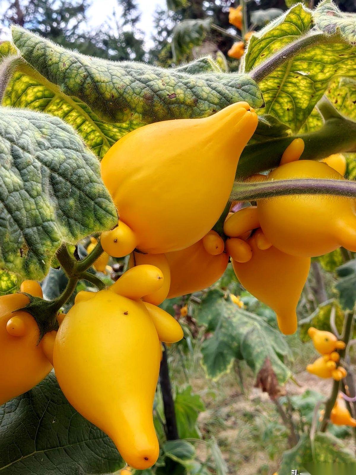 你能力强，活儿干得漂亮，就觉得领导会高看你一眼？醒醒吧。人家只关心一件事：这