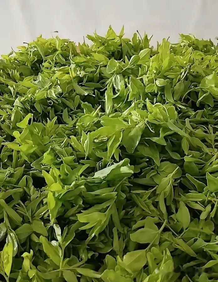 喝酒到底好不好？别再被忽悠了，真相一文说透饭桌上、应酬时，总有人说“小