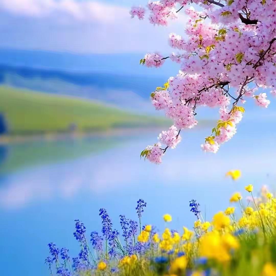 “耍大牌”。但我觉得她真是内容创作里的“有功之臣”。李佳舅舅都说了这是段子，为了