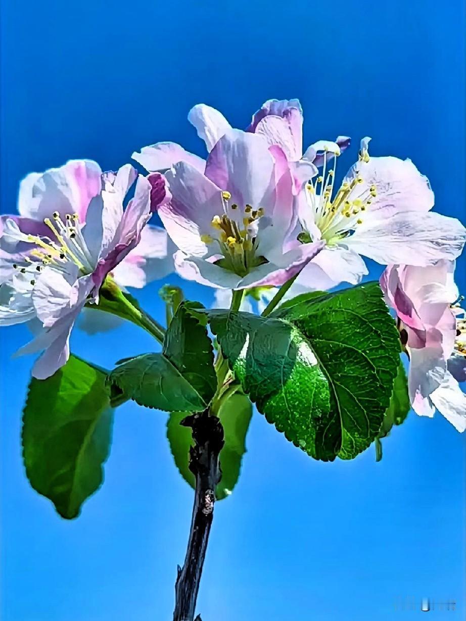 人这一辈子，别让一张嘴毁了你的好运气。真别不信，你平时说什么话，就会过什么日子