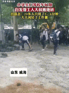 威海小学生搬砖爆火：比起