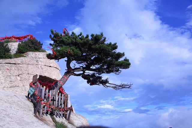 西岳华山, 那些不可错过的绝美景点, 你打卡了几个?