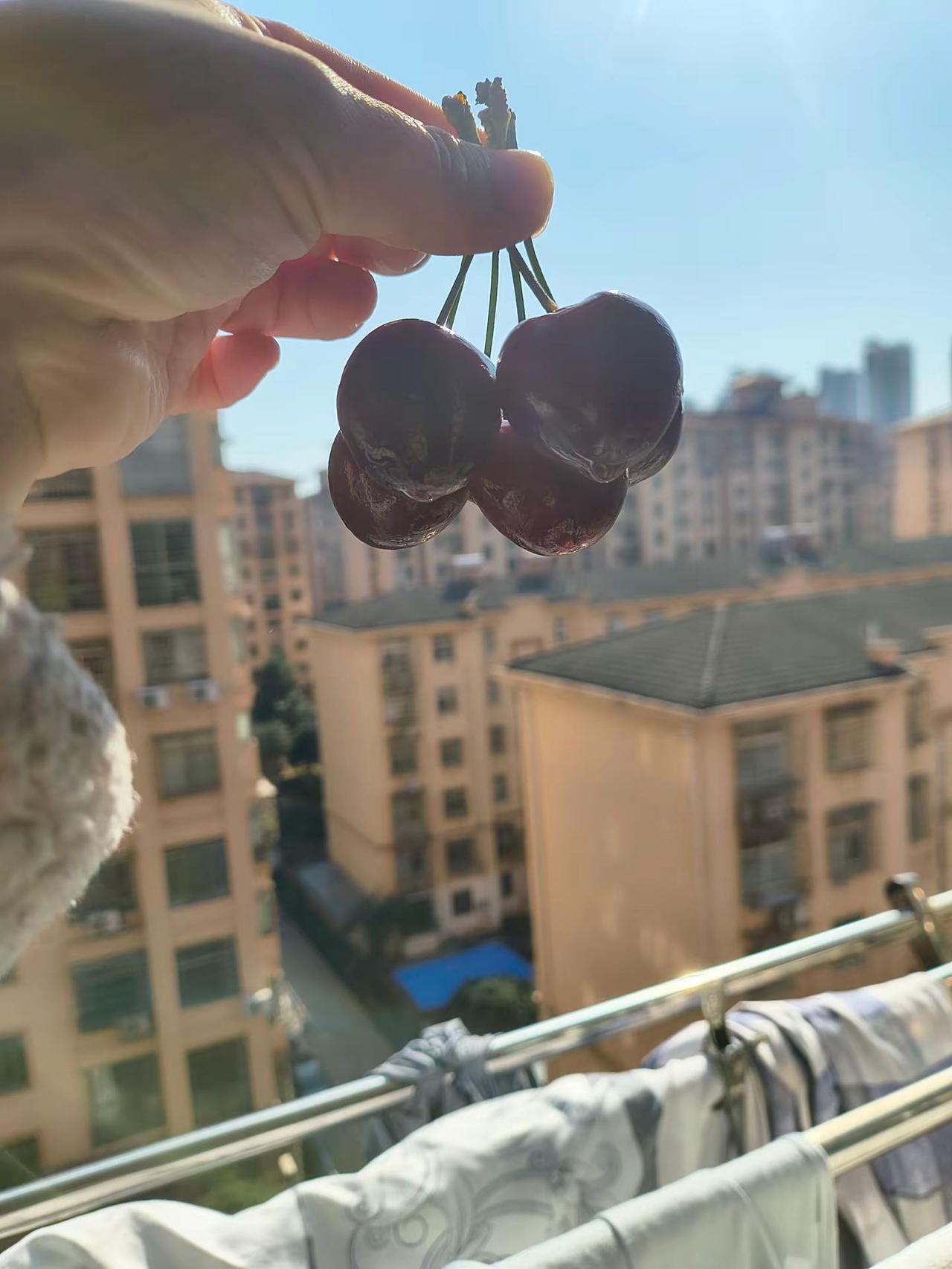 来个下午茶休息的日子可以摆摆烂