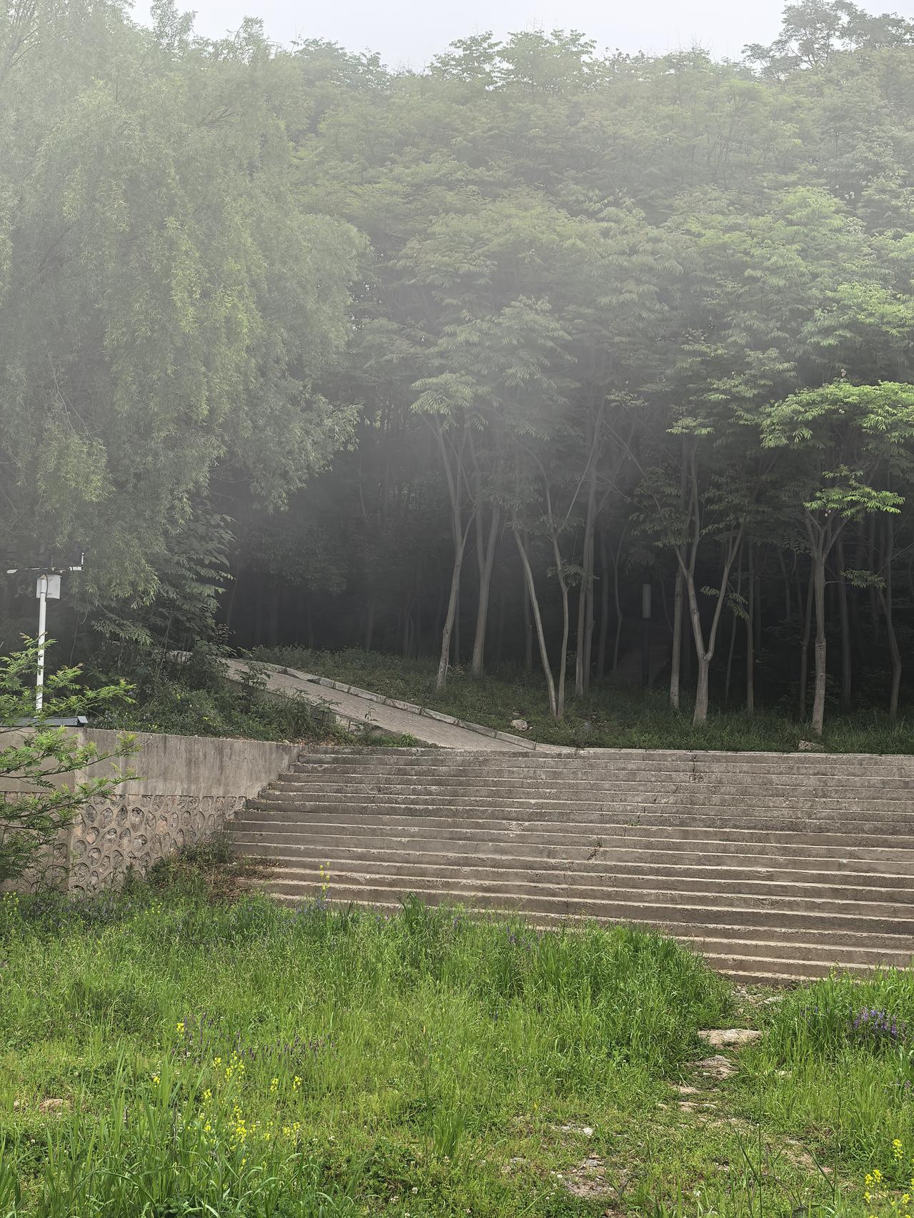 很多人以为，圣人自己一定是得到了仙人的指示，或者是在梦中得到神灵的指示，然后他自